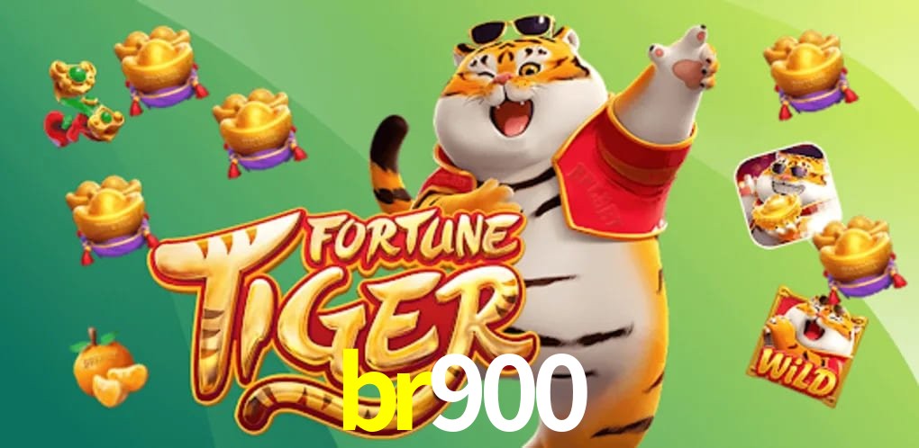 Experiência VIP br900
